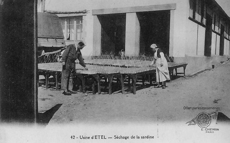 Etel_SechageDeLaSardine
