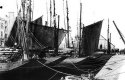 Dundees dans le port d'Etel