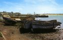 Les vieilles coques